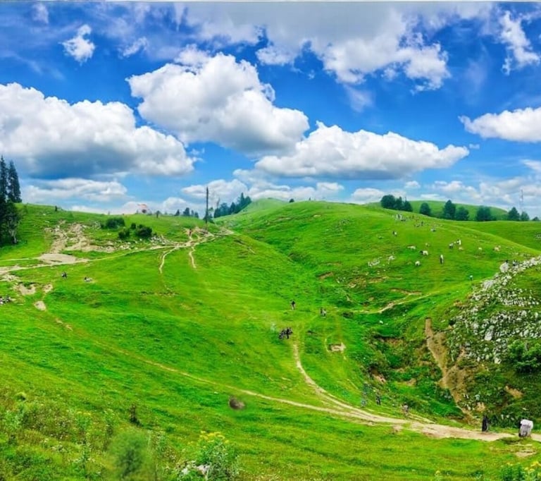 Mushkpuri top