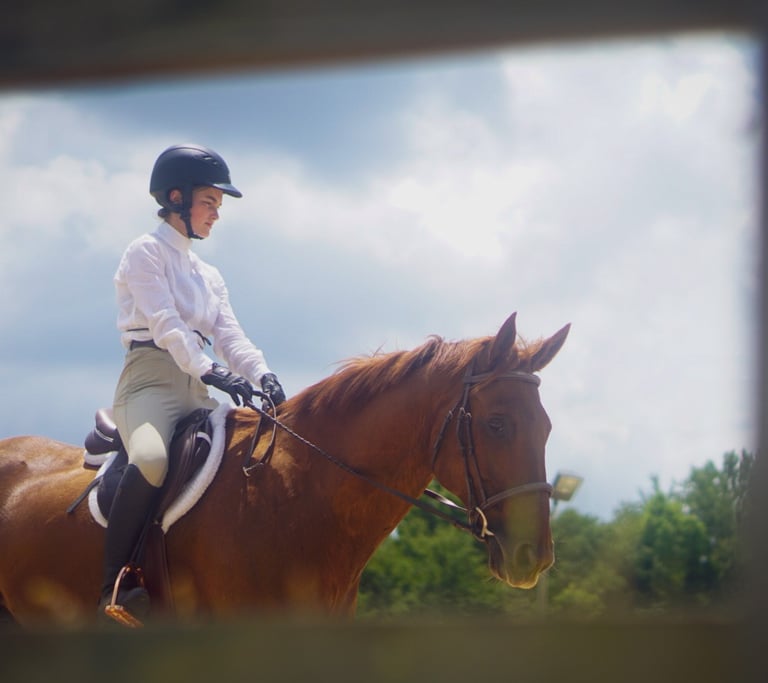a woman riding a horse in a field