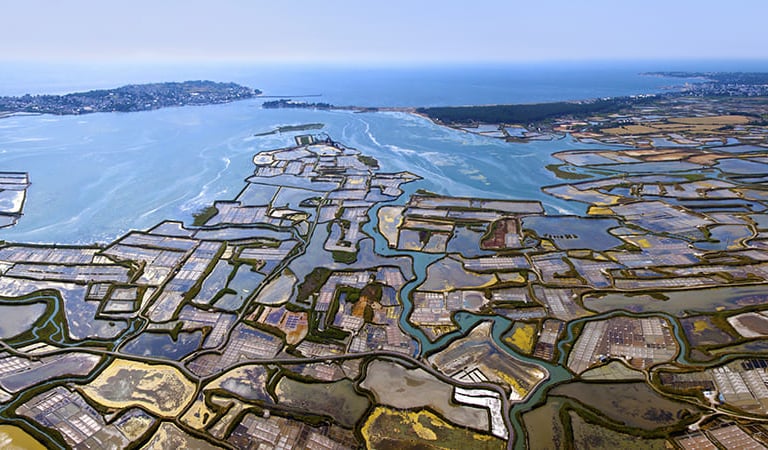 vue aérienne des marais salants de Guérande