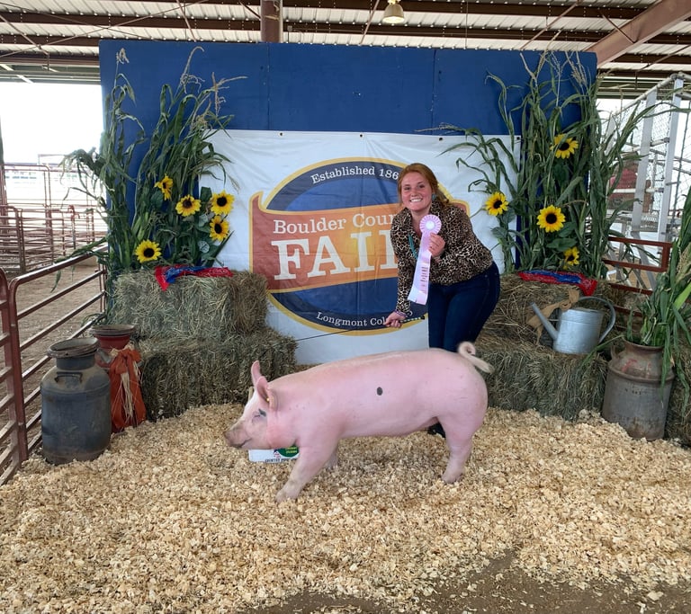 Meredith Halweg - Reserve Grand Champion Showmanship, Boulder County Fair, 2021