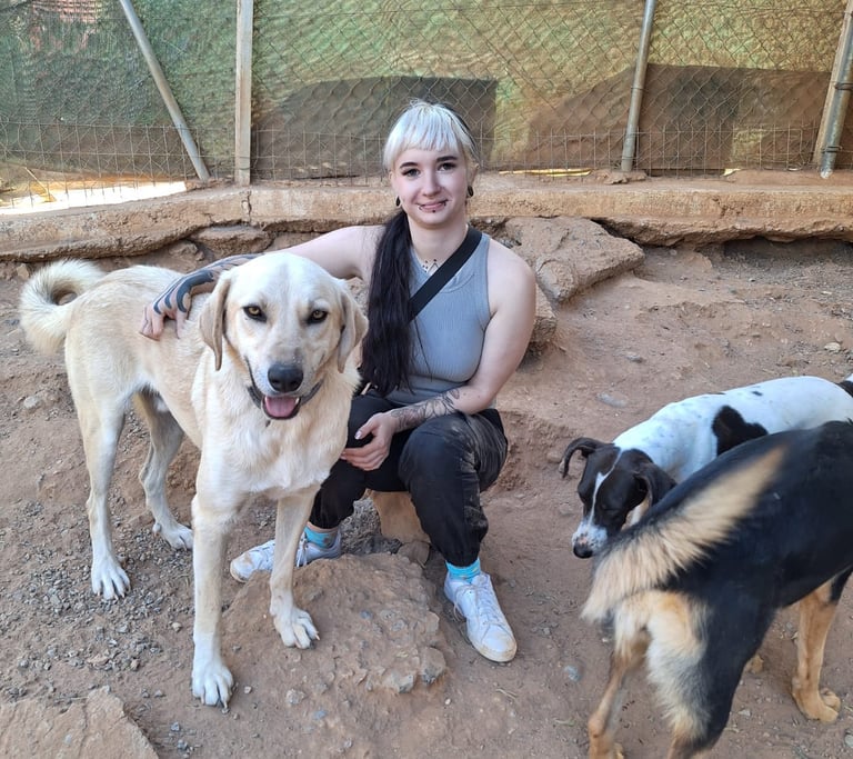 Randalaehunde Leipzig mit großem Hund aus dem Tierschutz