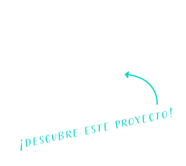 proyecto de branding