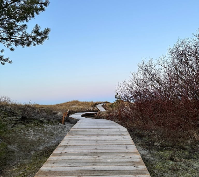 Palanga