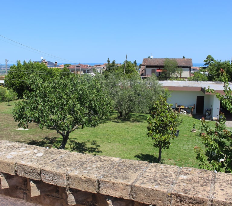 vista panoramica del giardino dal terrazzo