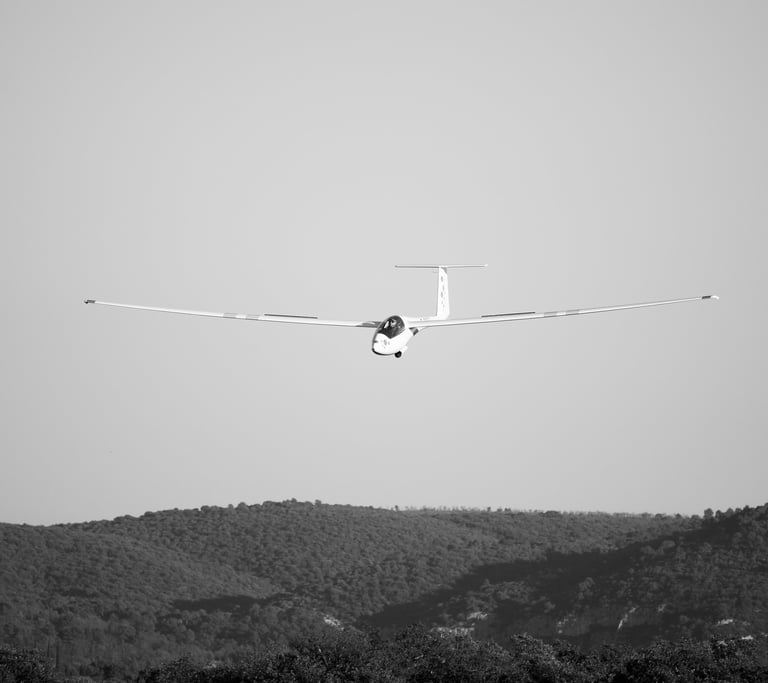 planeur à l'atterissage