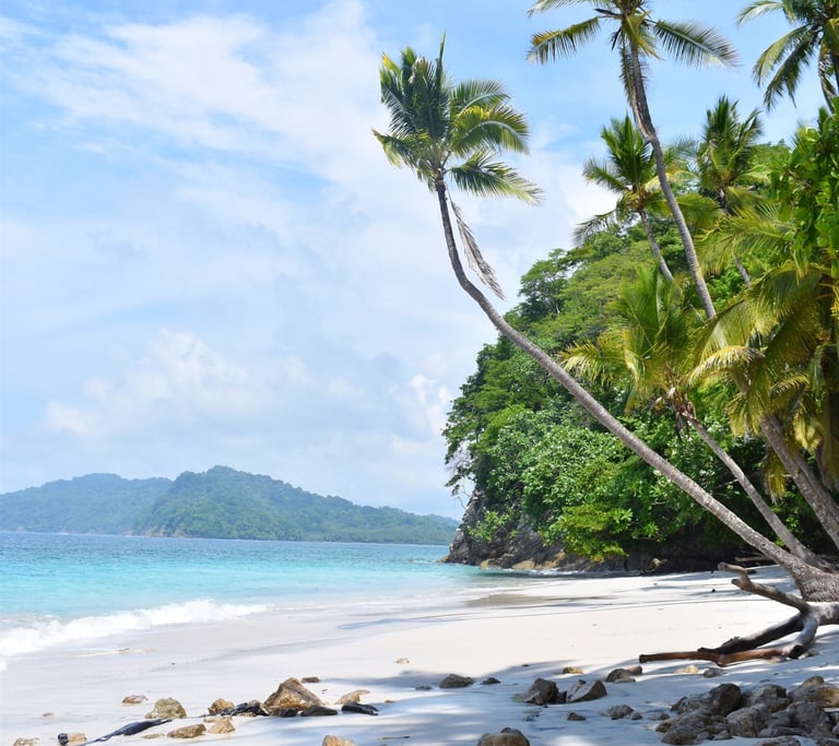 Santa Teresa Costa Rica, Curu reserve