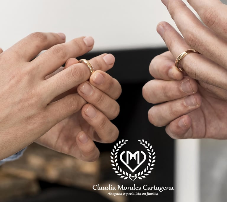 abogados union marital de hecho pereira