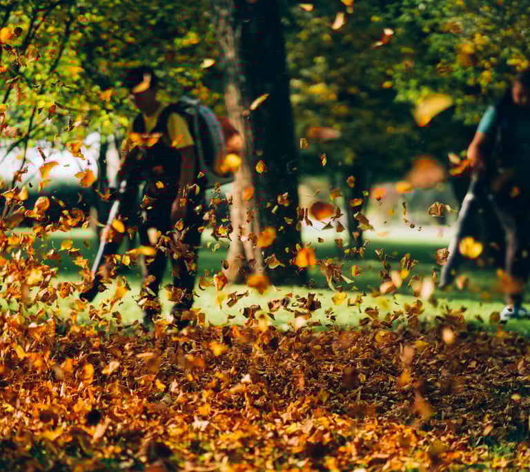 men blowing leaves in residential yard