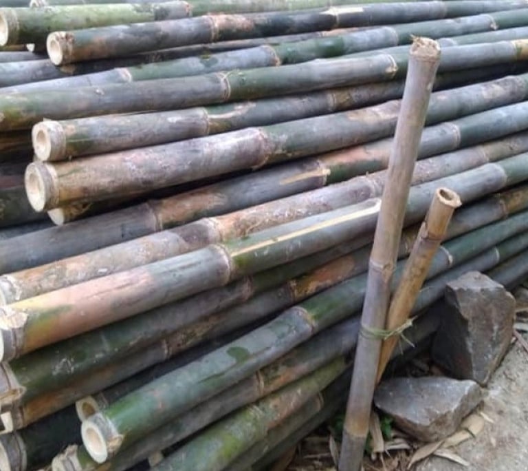 bambu proyek bangunan
