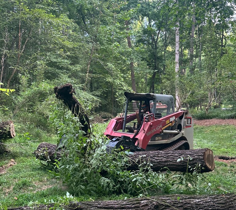 Land clearing with skid steer in Catawba County NC removing brush, small trees, and debris