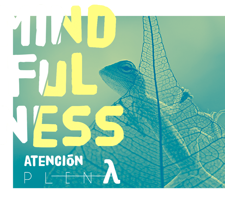 taller mindfulness atencion plena