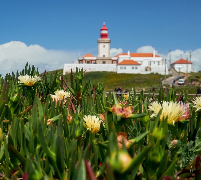 Flowers and grass with a lighthouse tower in the background