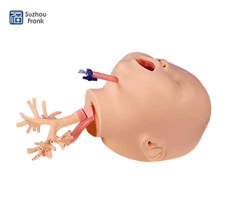 Suzhou Frank Pediatric Bronchoscopy Simulator