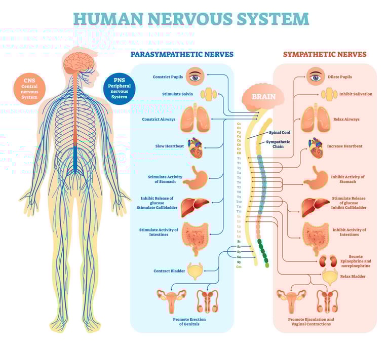 Credits: Getty Images