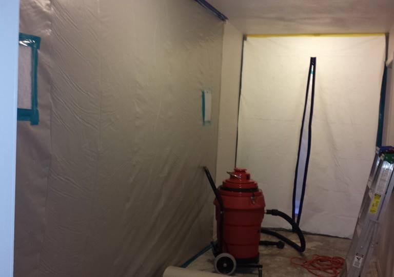 Mold remediation work area