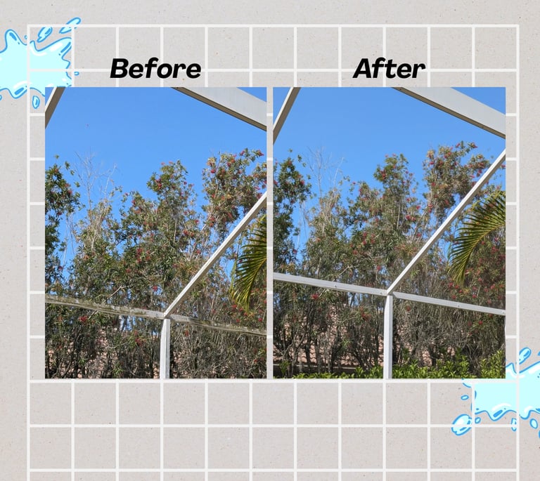 Pool Cage Soft Wash Palm Harbor Florida