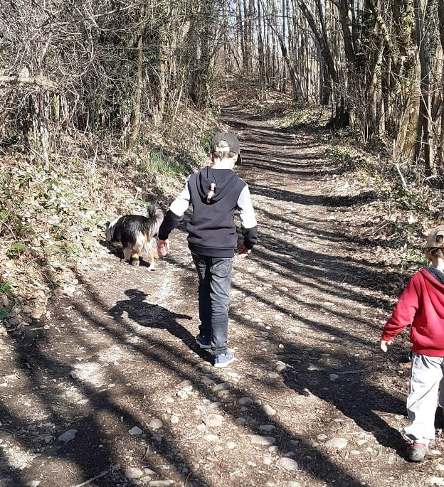 balade avec les enfants et son chien