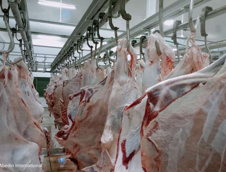 Top Halal Beef Exporters In Pakistan