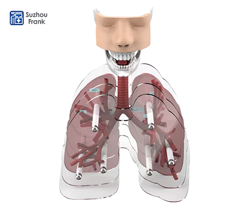 Suzhou Frank Bronchoscopy Simulator