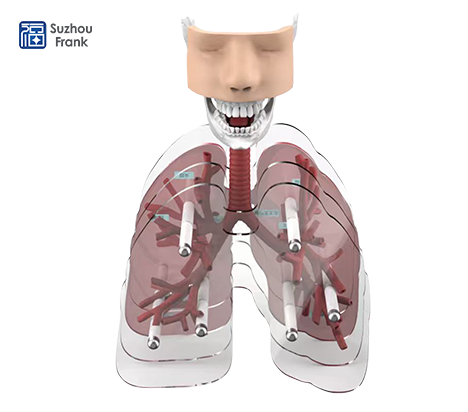 Suzhou Frank Bronchoscopy Simulator