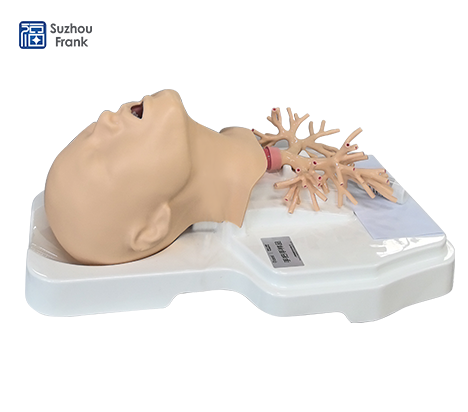 Suzhou Frank Endoscopy Simulator