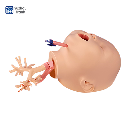 Suzhou Frank Pediatric Bronchoscopy Simulator