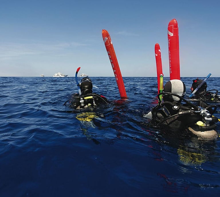 Imagen curso padi divemaster