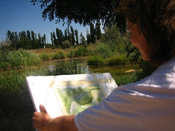 Delia Morgan Plein Air - Portfolio Page