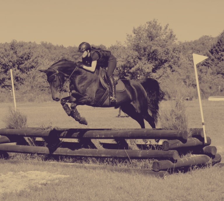 Massage cheval sportif