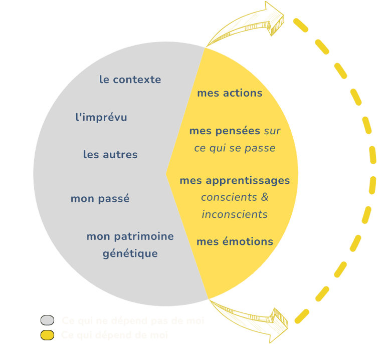 graphique divisant la responsabilité