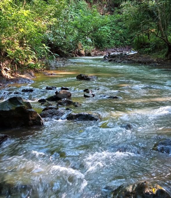 Main property creek 