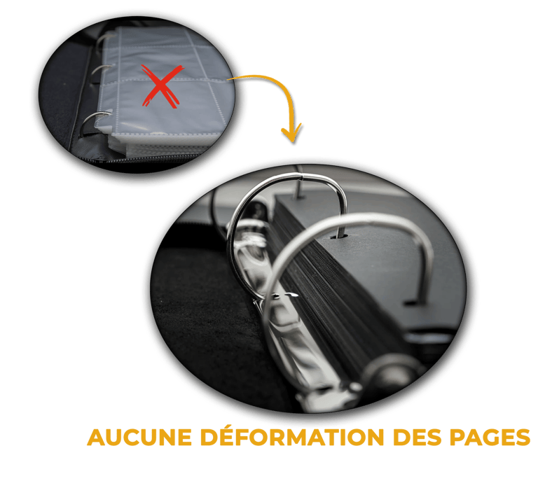 Anneaux en D classeur cartes