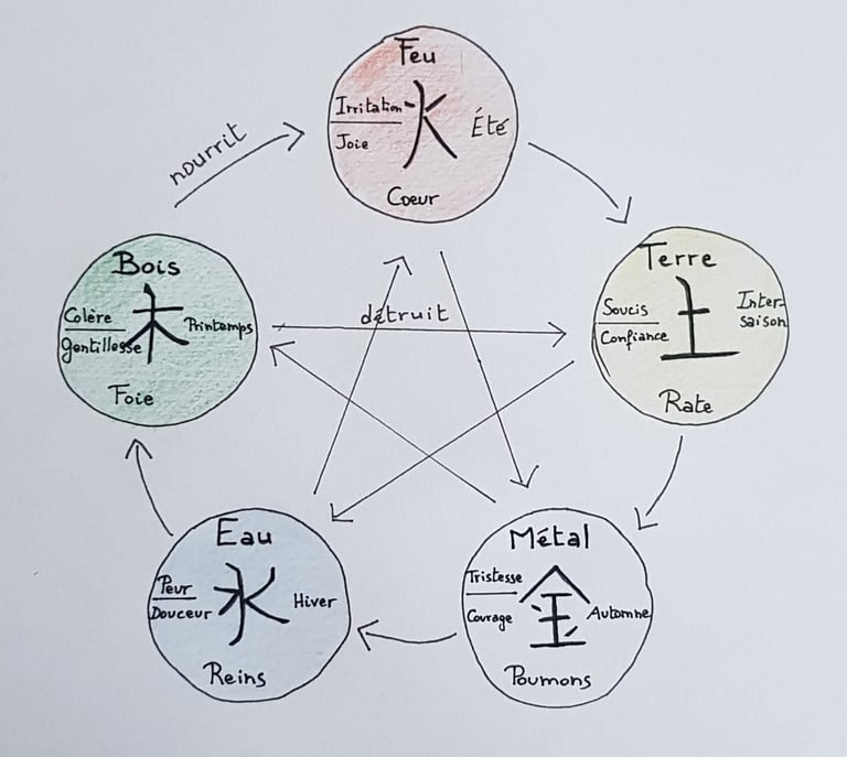 Le cycle des 5 éléments