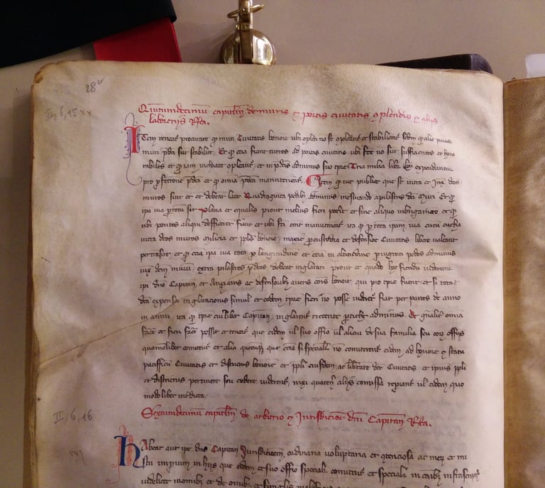 A page with abbreviated legal text from 1335 Bologna.