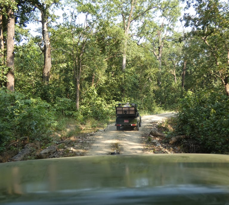 jeep safari  in Bardiya National Park