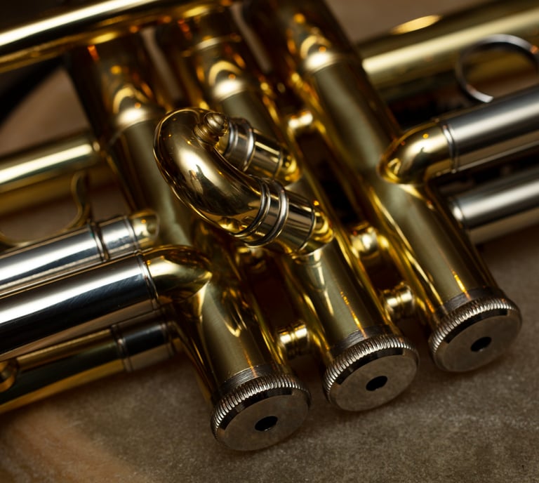 gros plan sur pistons de trompette