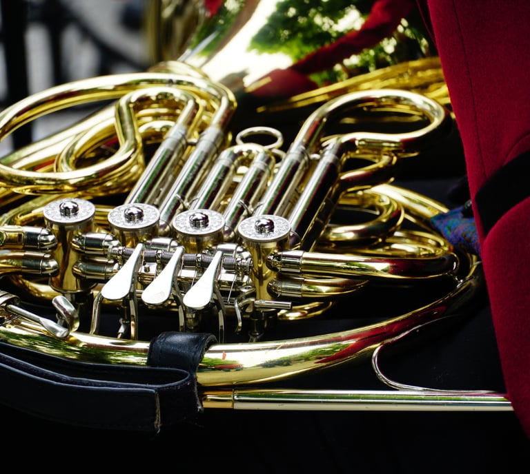 un cor dans son étui rouge