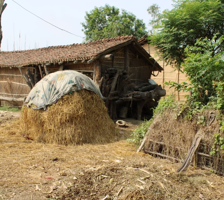 village in Bardiya district