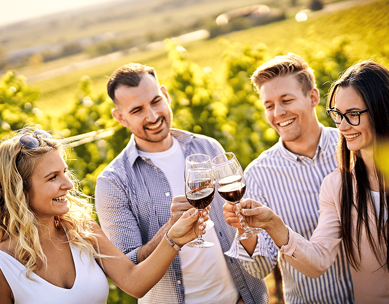 Friends drinking wine in vineyard