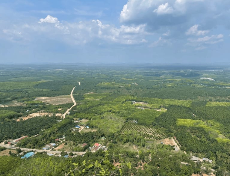 Luftaufnahme einer üppigen grünen tropischen Talschaft mit dichten Wäldern und einer kurvenreichen