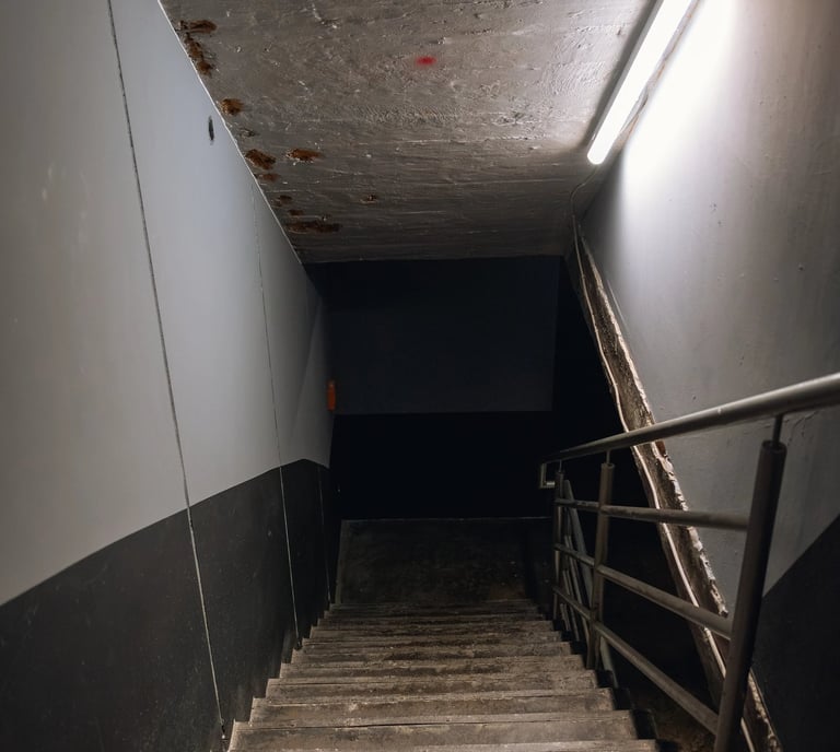 A dimly lit concrete stairwell leads down to a dark basement with a fluorescent light and metal handrail.