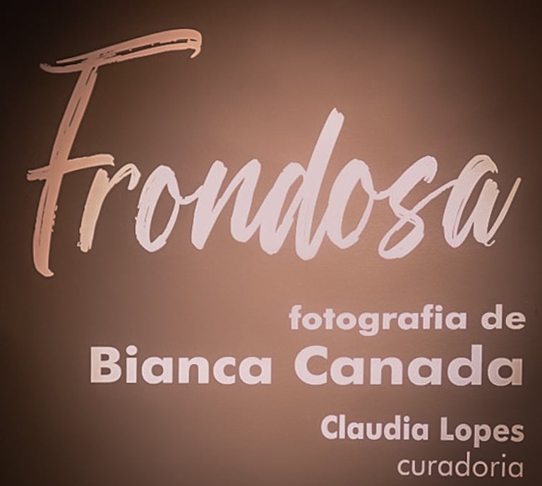 Frondosa, fotografia de Bianca Canada, Claudia Lopes curadoria