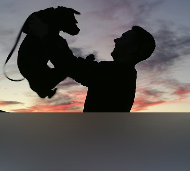 dogAdvisor | dogadvisor | dog advisor | dogAdvisor.dog