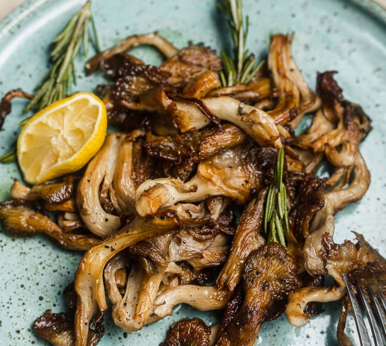 funghi ostrica cuneo