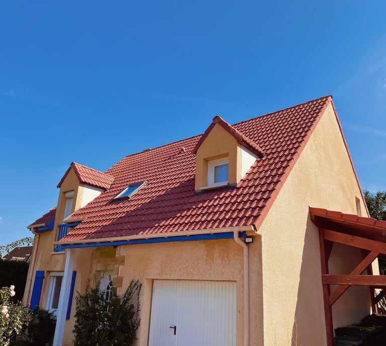 nettoyage toiture 77