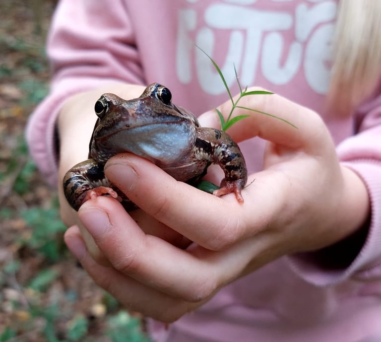 Patyriminis ugdymas susipažįstant su mus supančiais gyvūnais