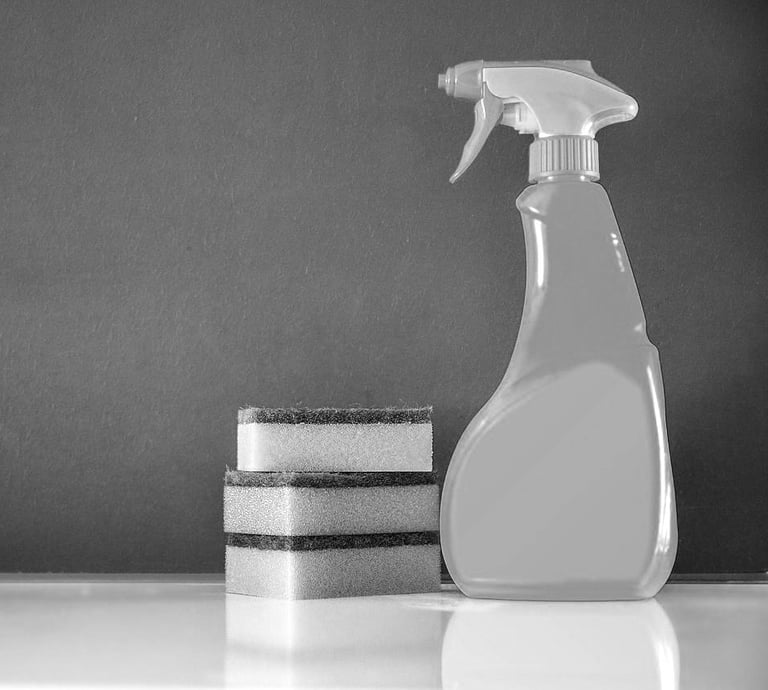 Flacon spray éponges ménage