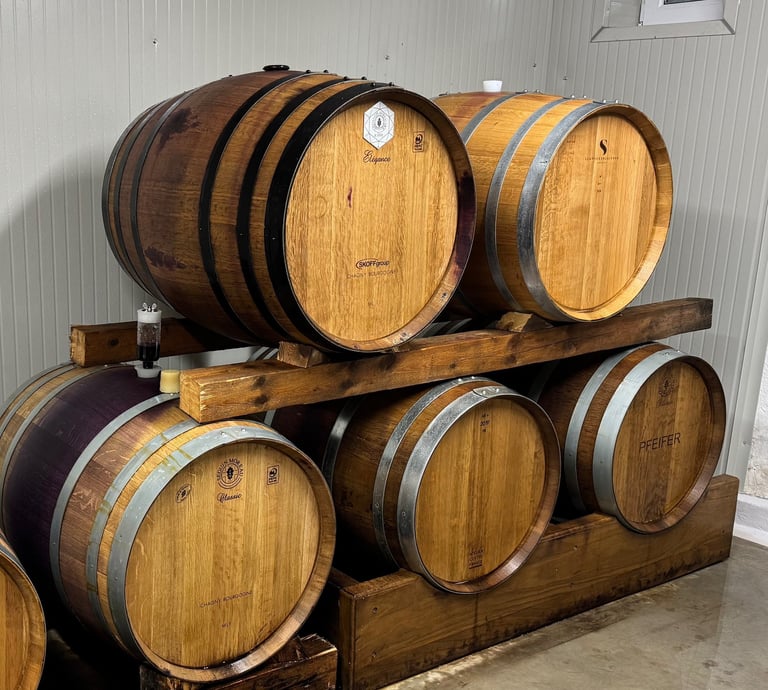 Holzfässer im Keller