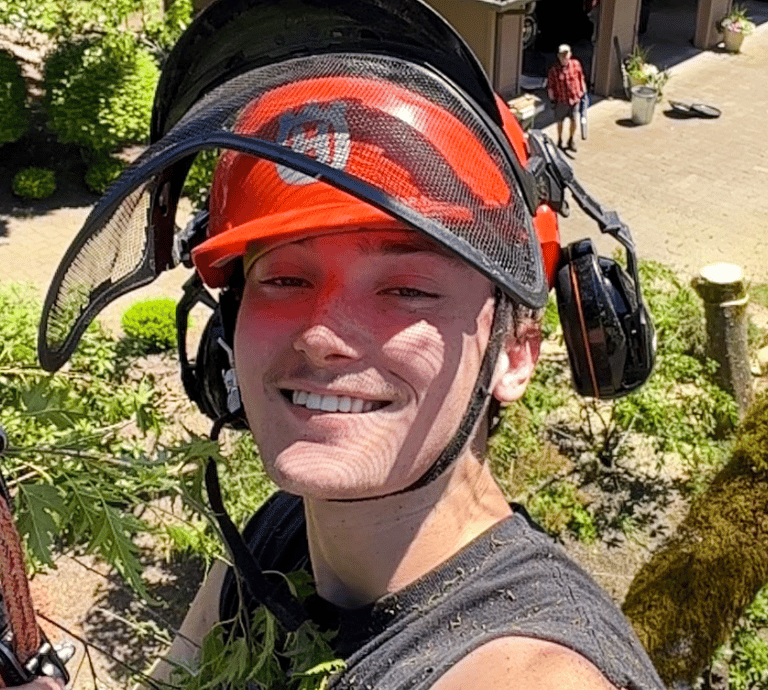 Arborist in a tree wearing an orange helmet