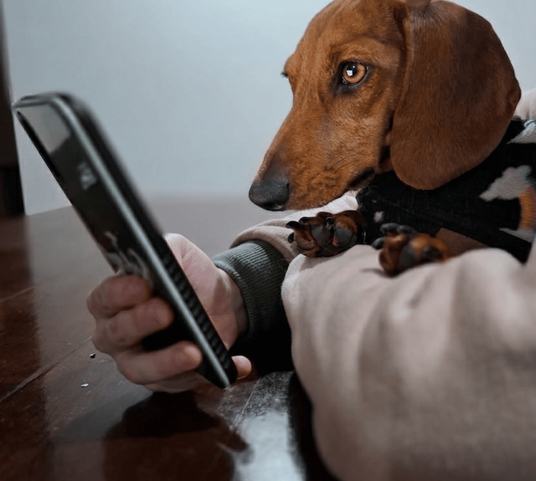 Chimi Salchicha viendo su serie favorita en Netflix